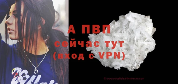 сатива Майский
