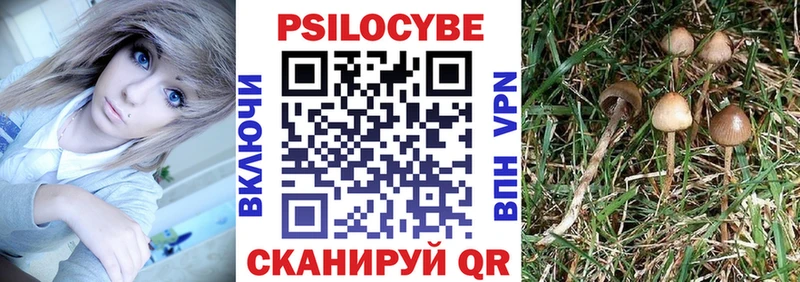 Купить закладки  Михайловск  Галлюциногенные грибы MAGIC MUSHROOMS 